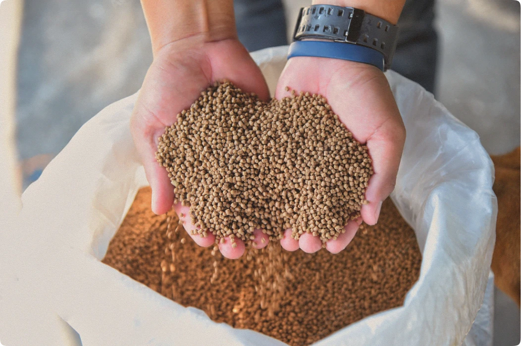 Cupped hands lifting grain from an open sack, representing Gaia’s give-first mission